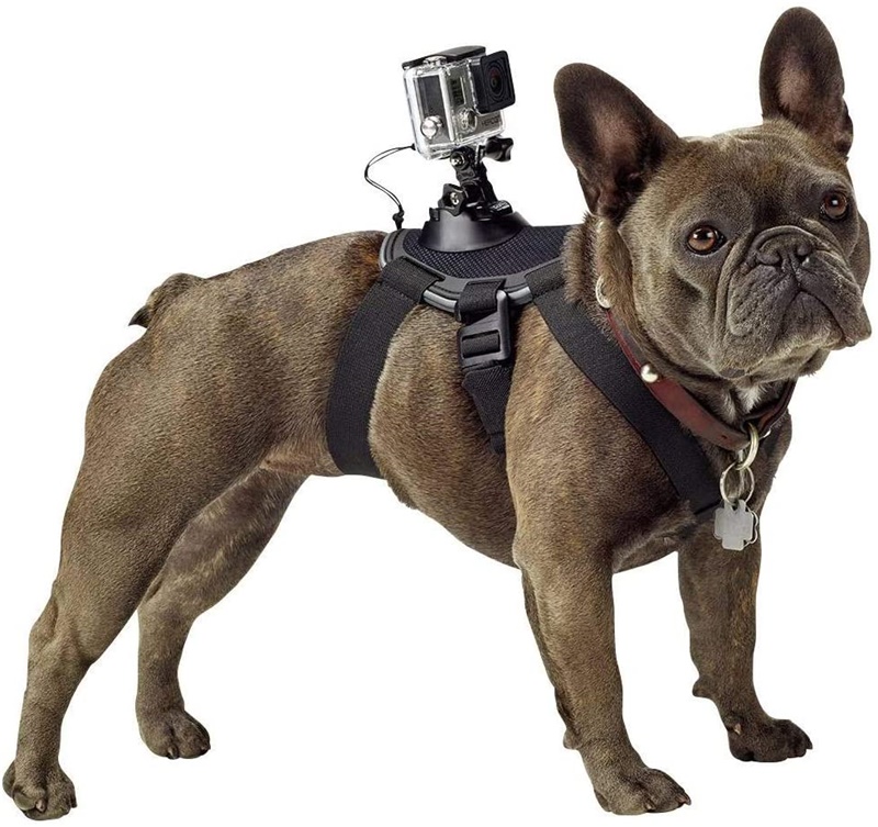 Gopro Fetch Dog Harness