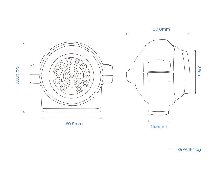 CVBS Side View Camera Diagram